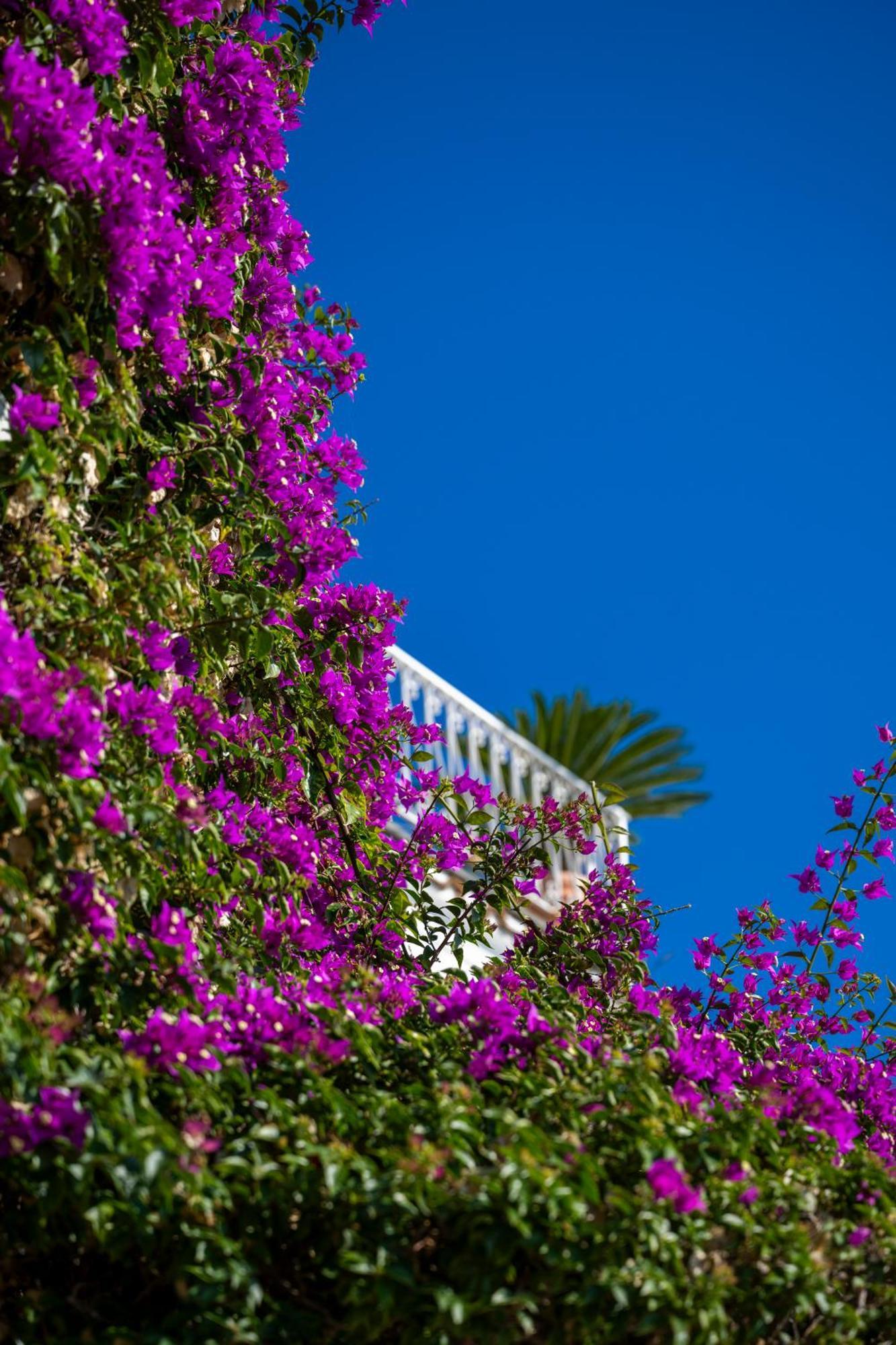 Casetta Arienzo Positano