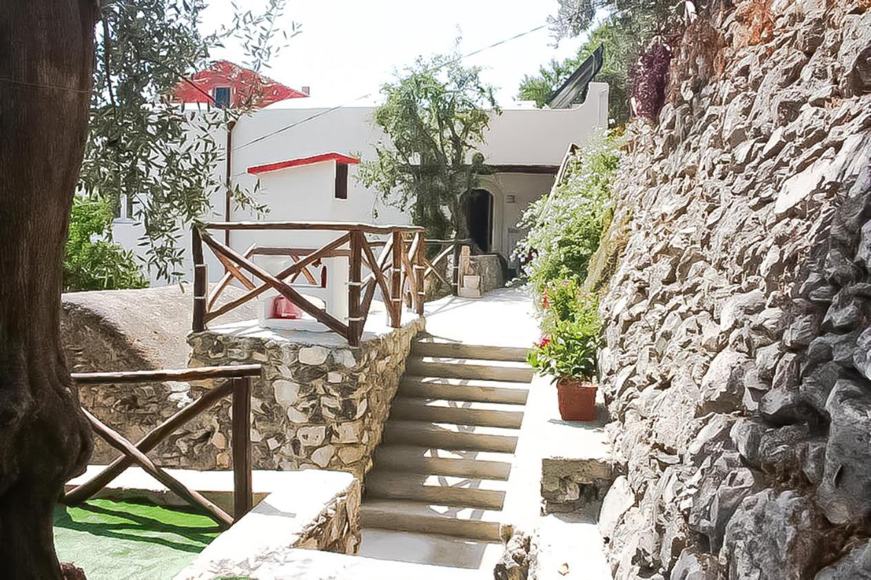 - Maison