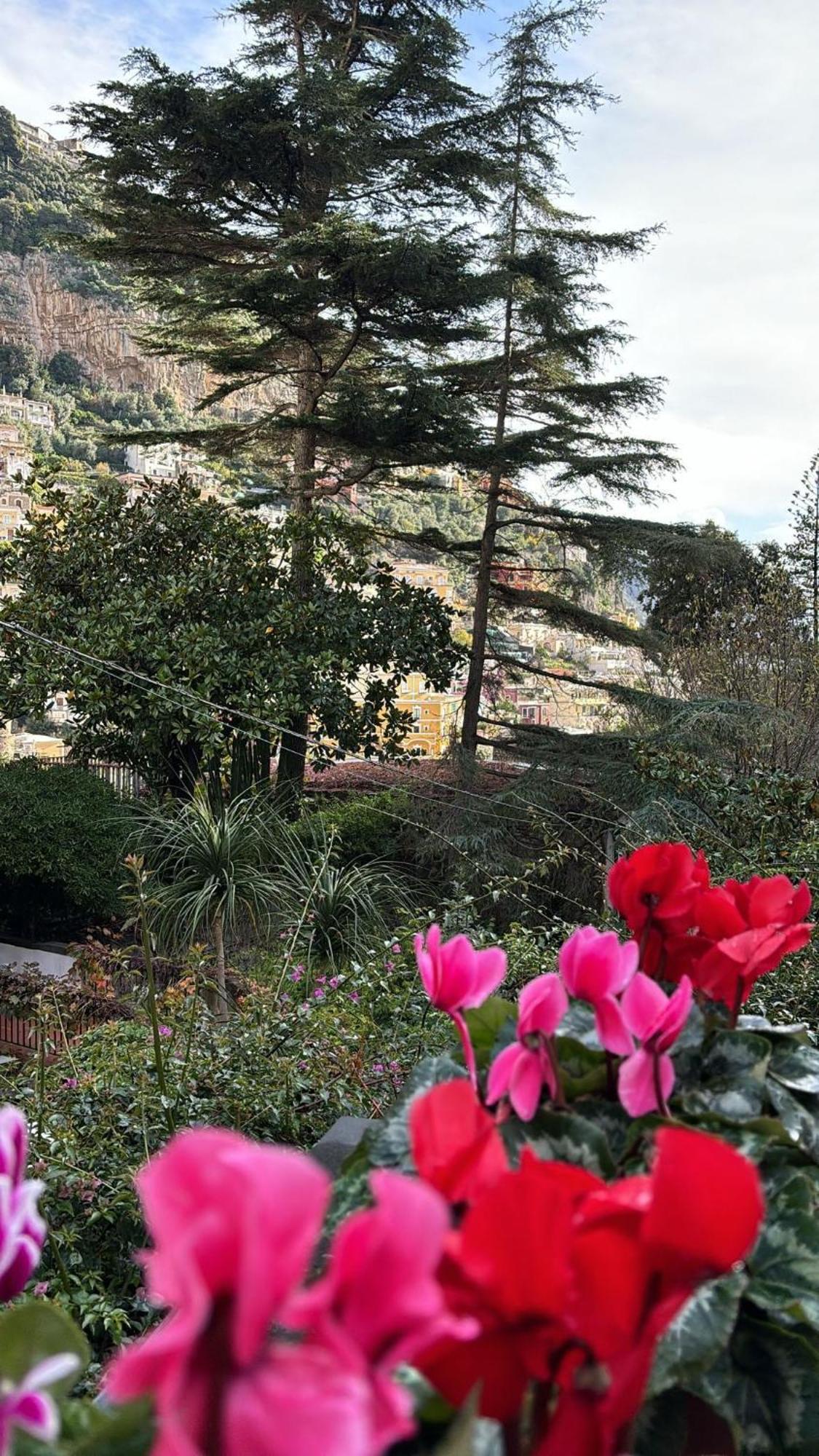 Leonardo In The Heart Of Positano