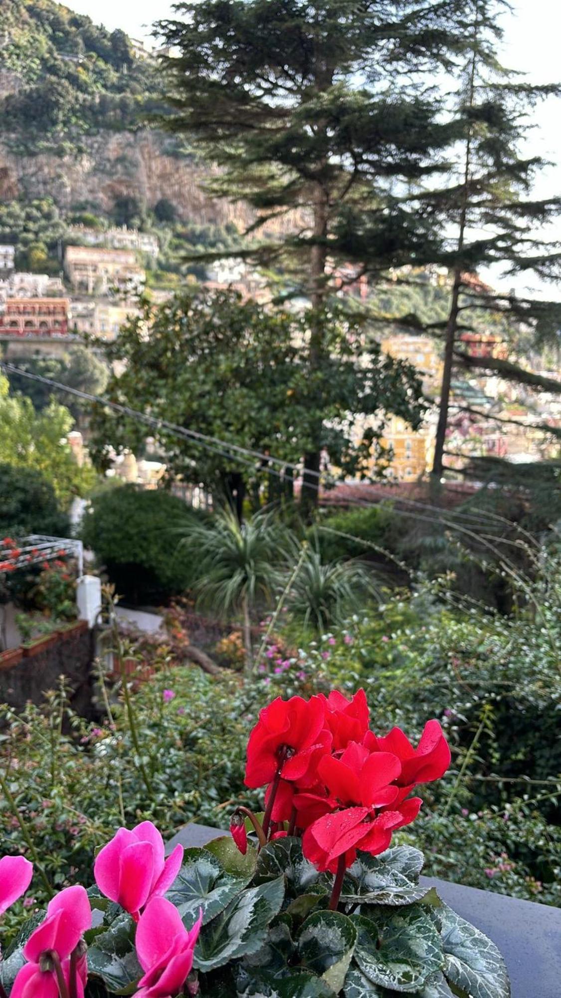 Leonardo In The Heart Of * Positano