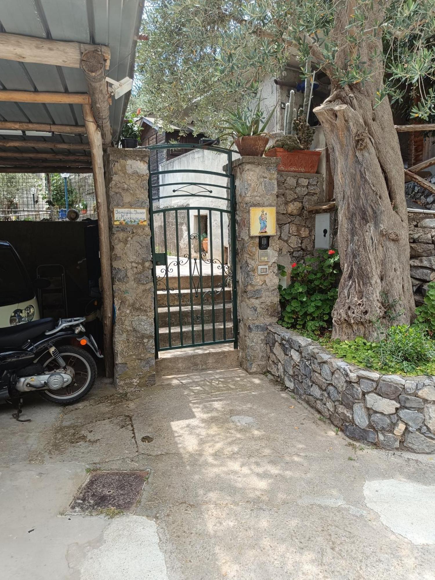 La Selva Santa