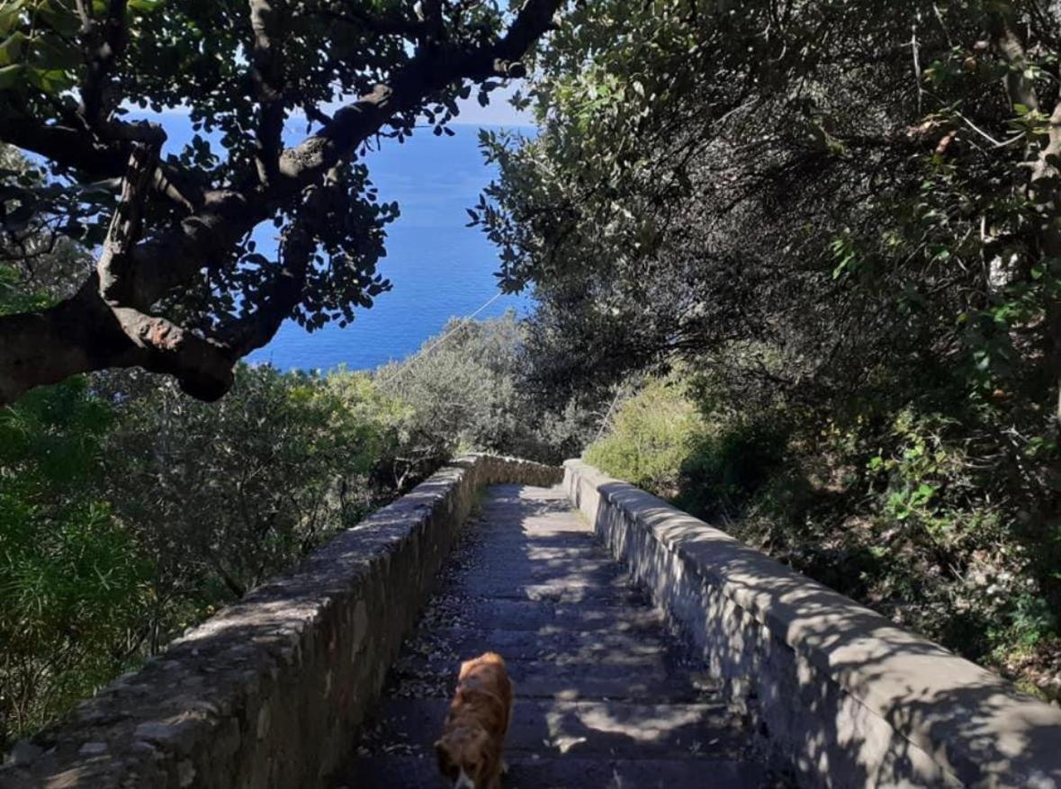 Casa Degli Dei, Angolo Di Paradiso Nocelle-positano Apartment