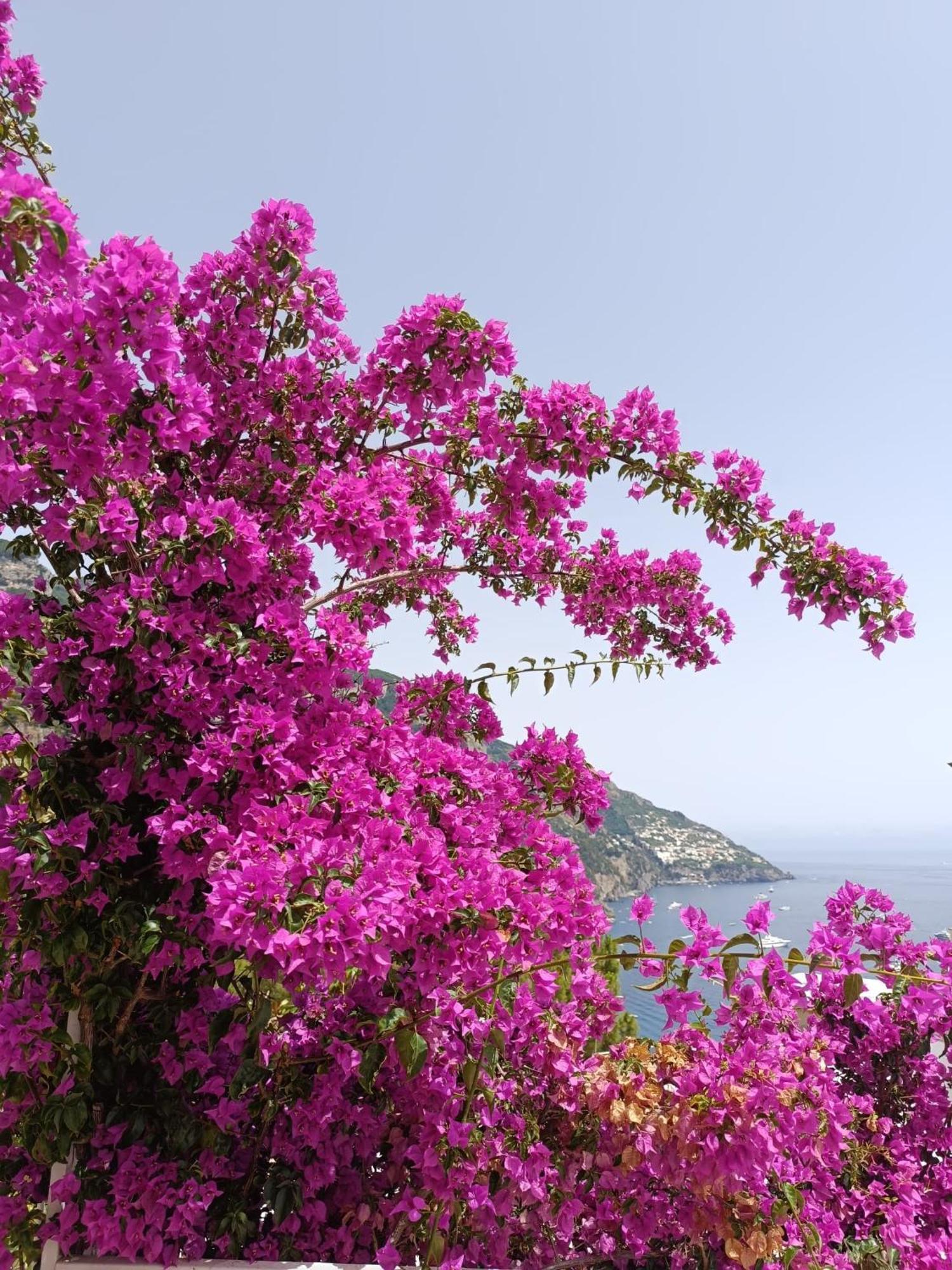 La Terrazza Di