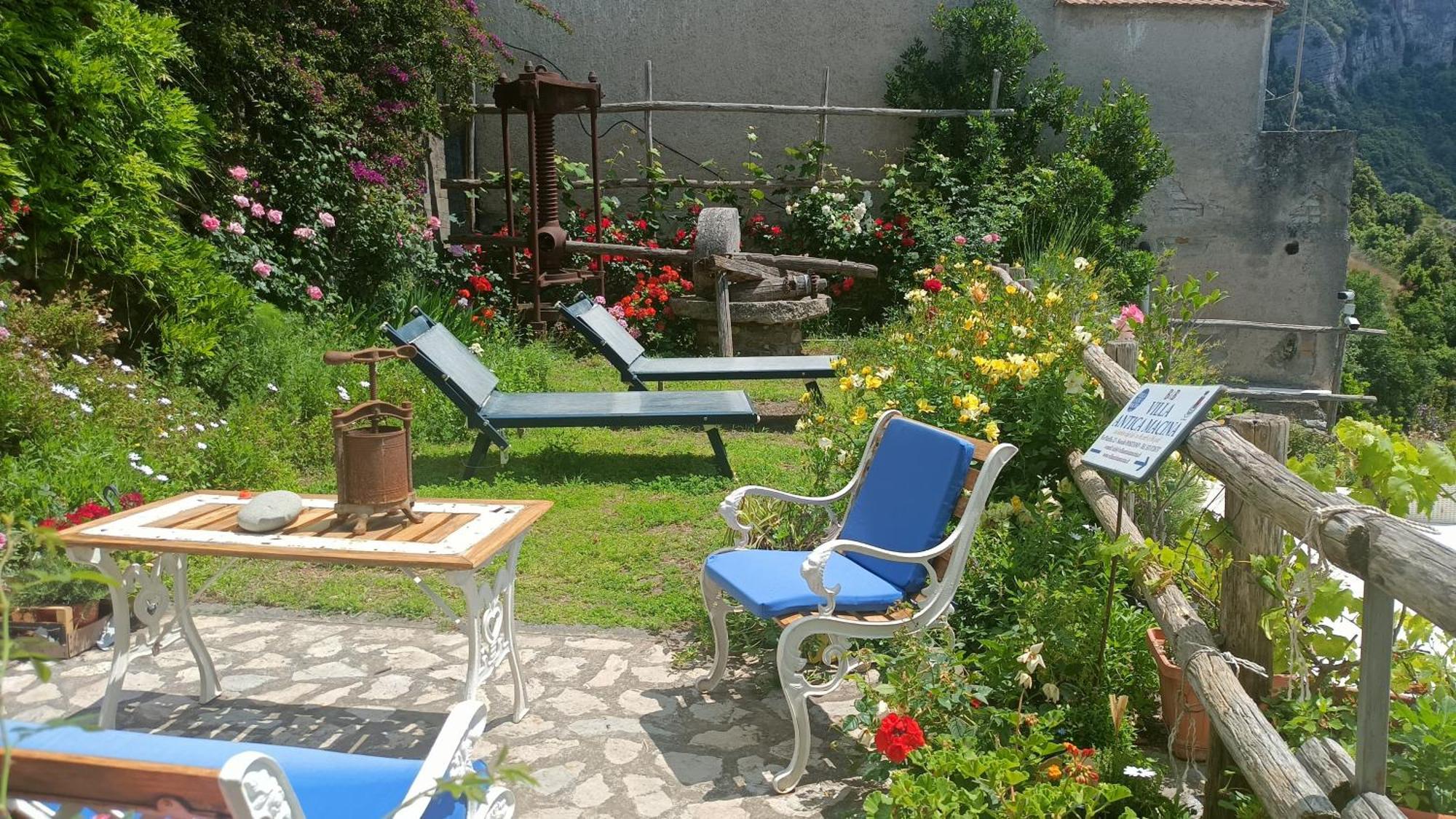 Antica Macina Apartment