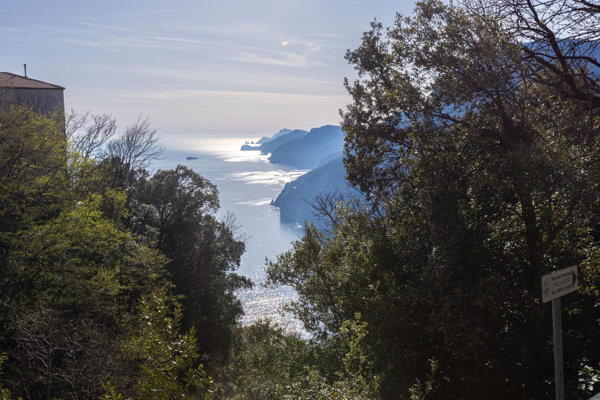 Casa Satriano Apartment Positano