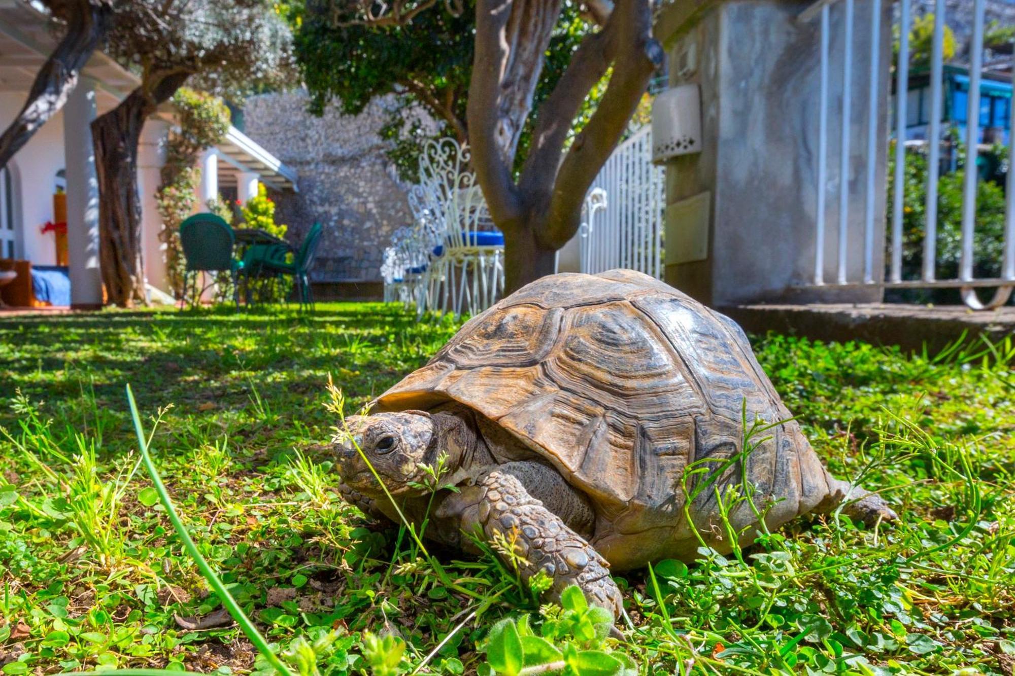 Bed & Breakfast La Maliosa