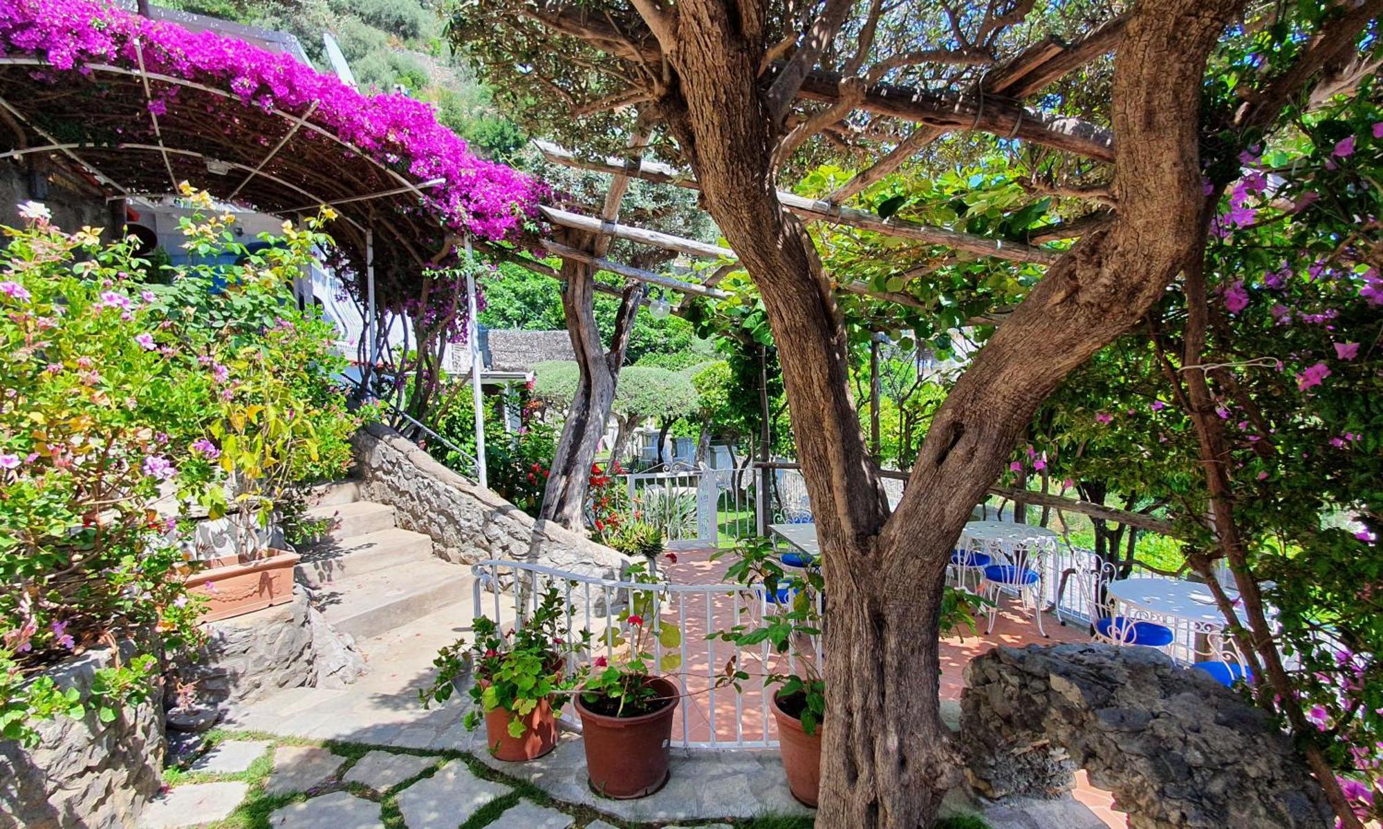 Bed & Breakfast La Maliosa Positano