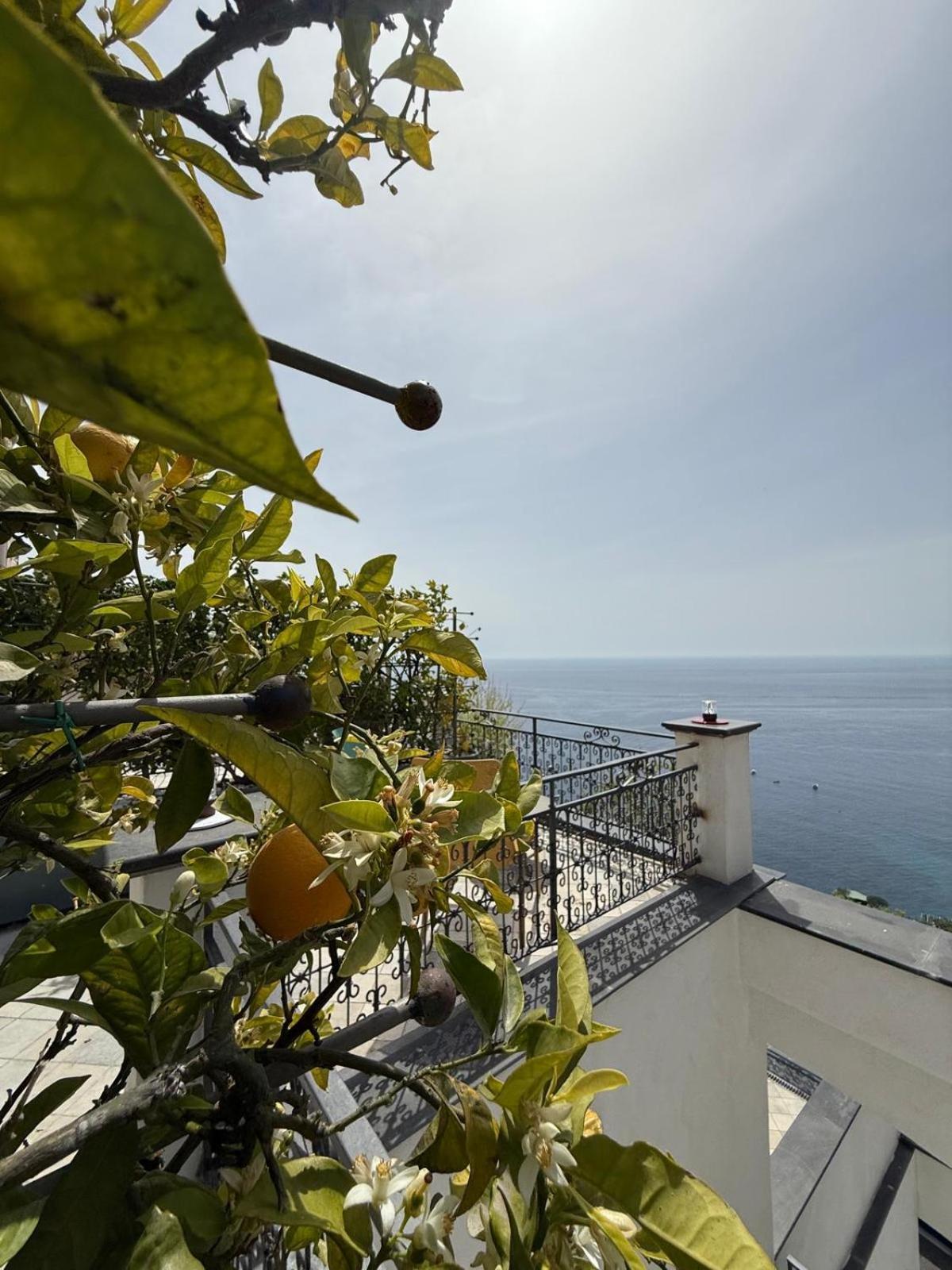 Art Pasitea Positano