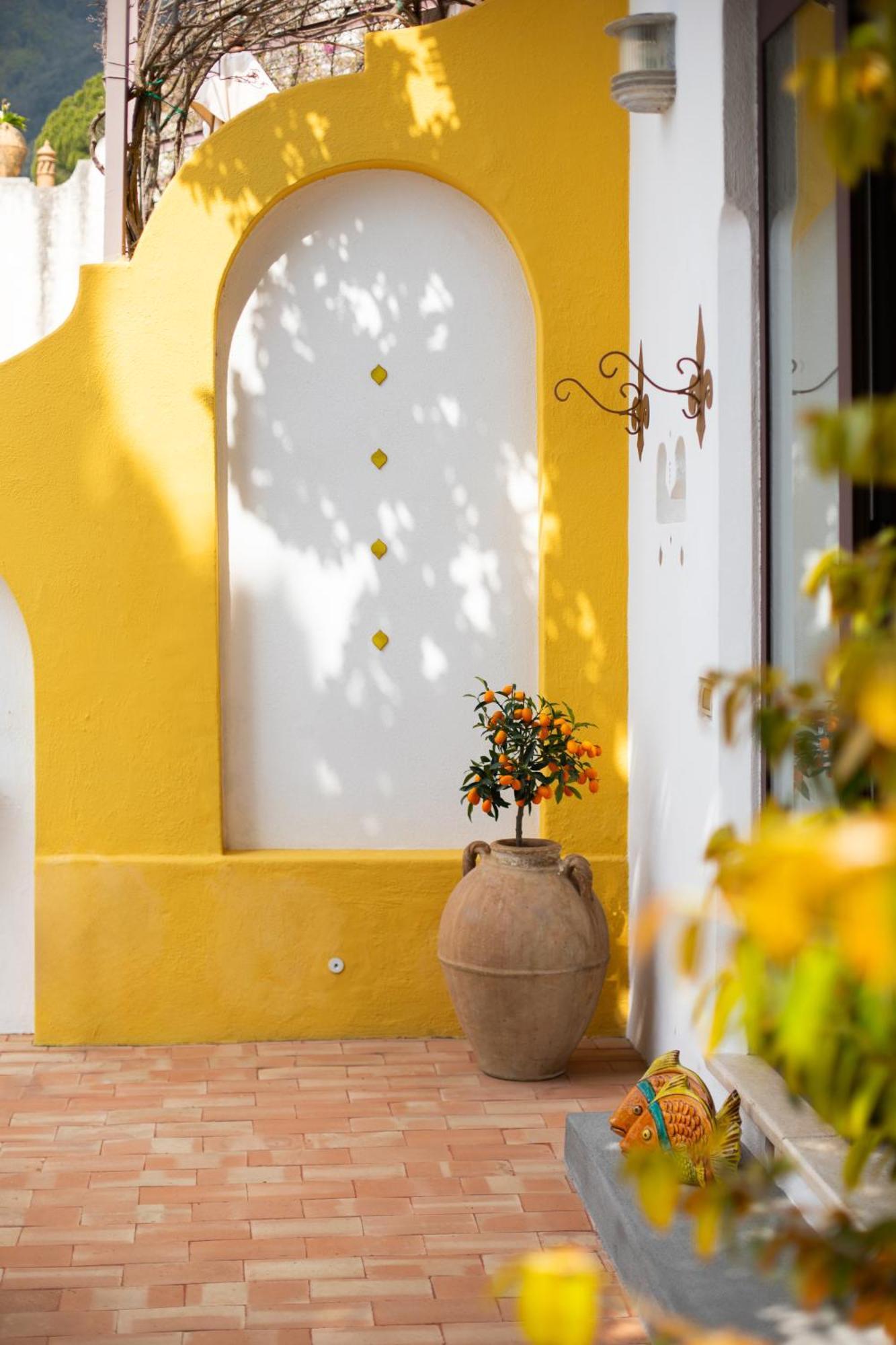 Cocles - Positano