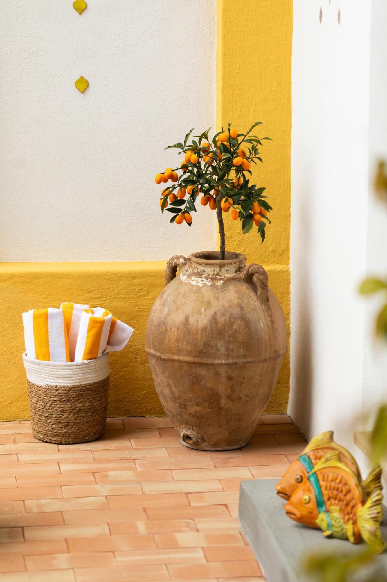 Cocles - Positano