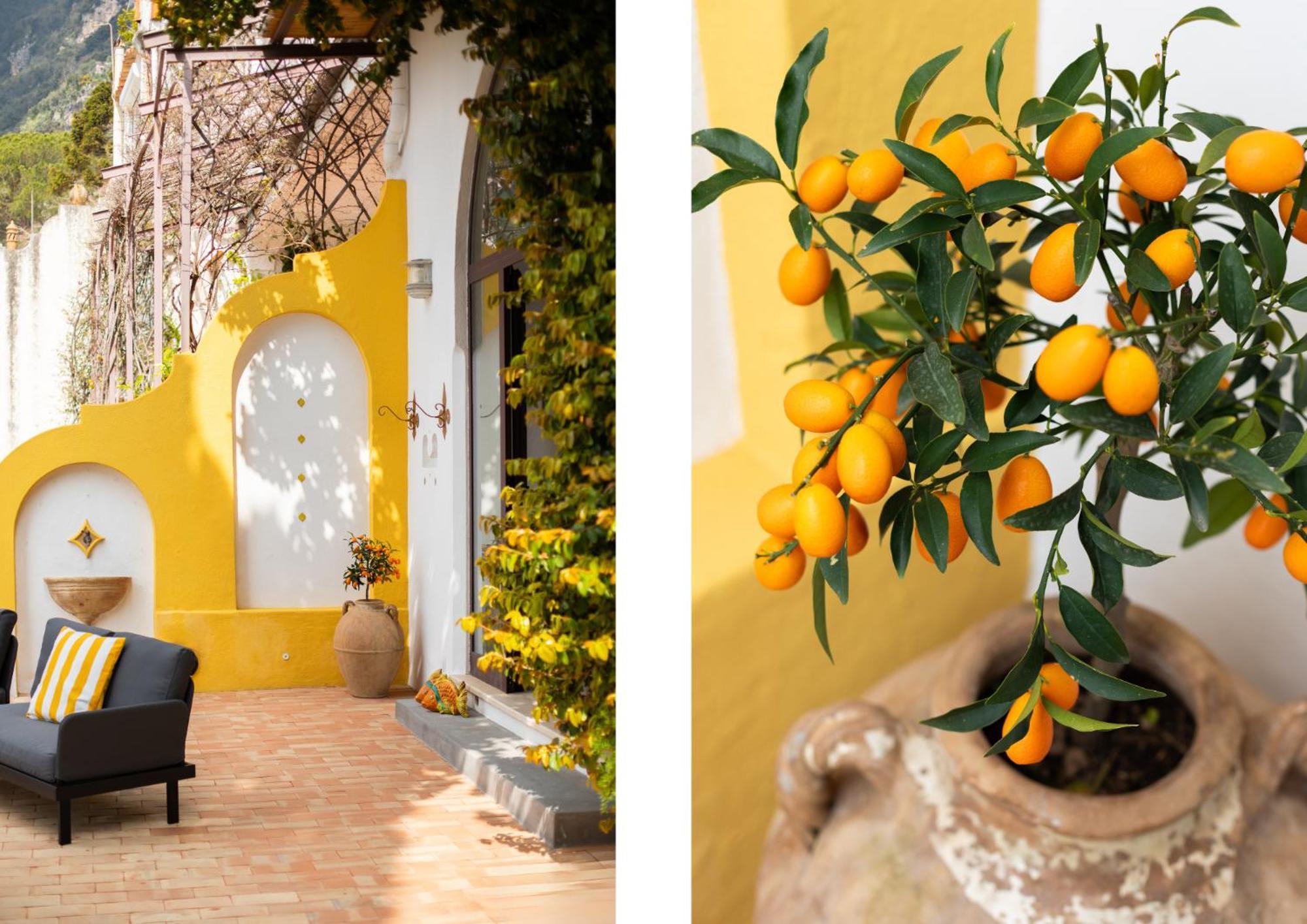 Cocles - * Positano