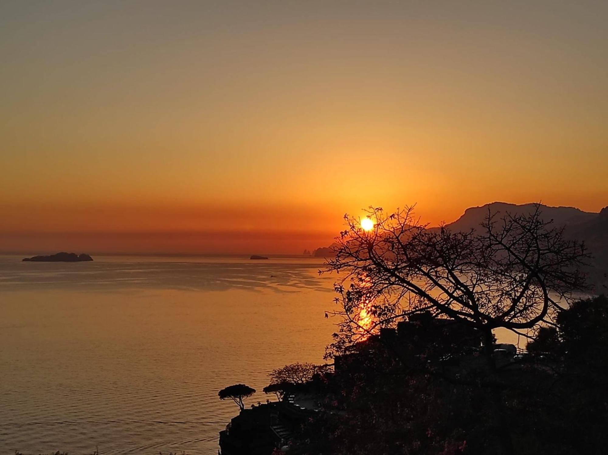 Rays Of Sun -
