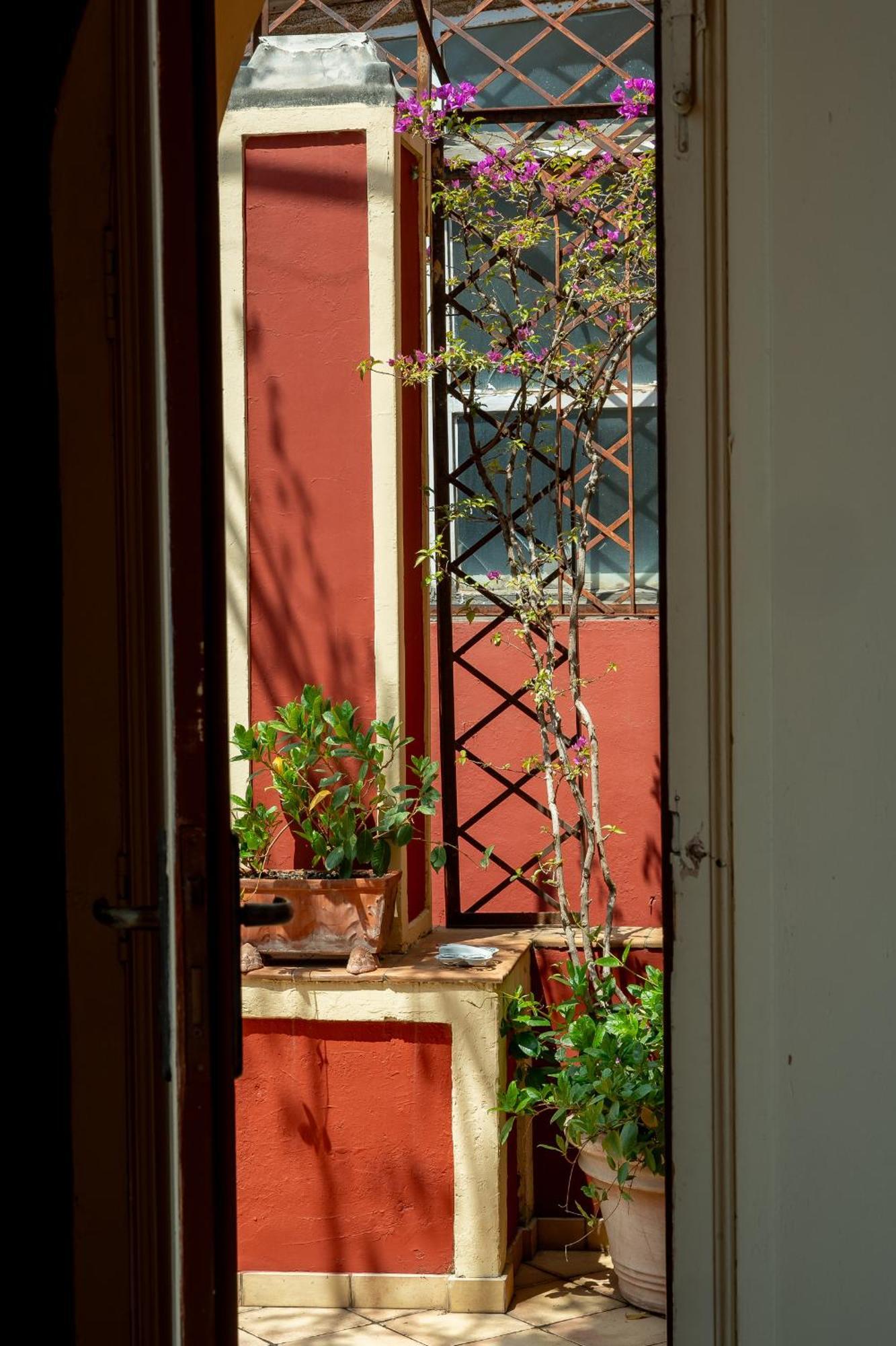 Casa Teodora - Apartment Positano