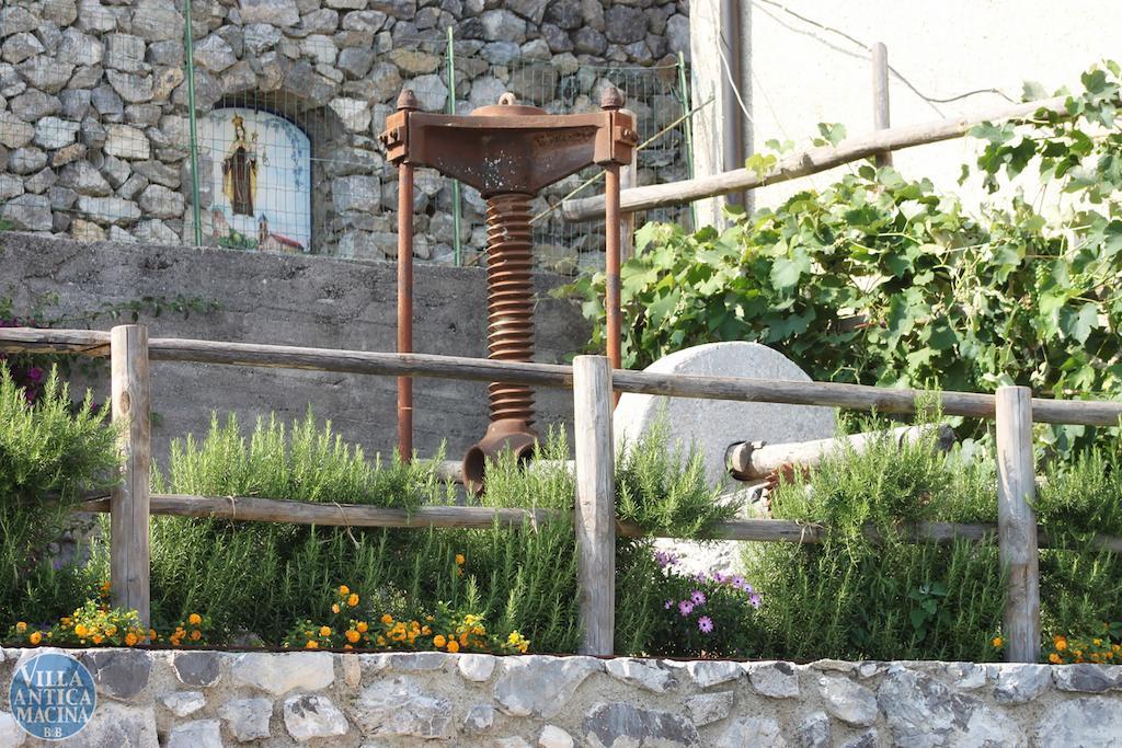 Apartment Antica Macina