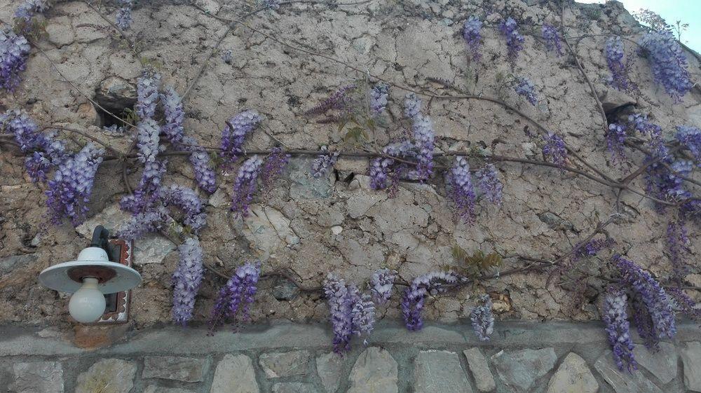 La Sorgente Del Sole Appartamento