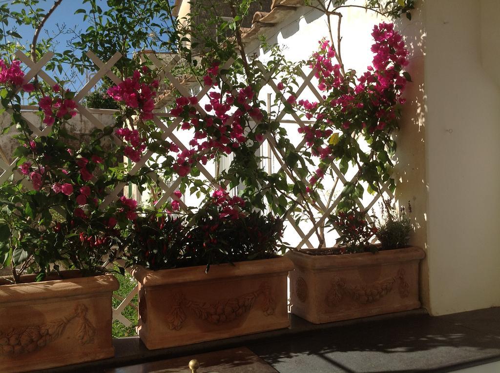 Casa Vela Apartment Positano