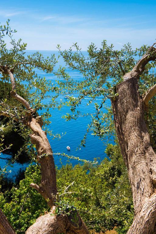 Villa De Rosa Positano