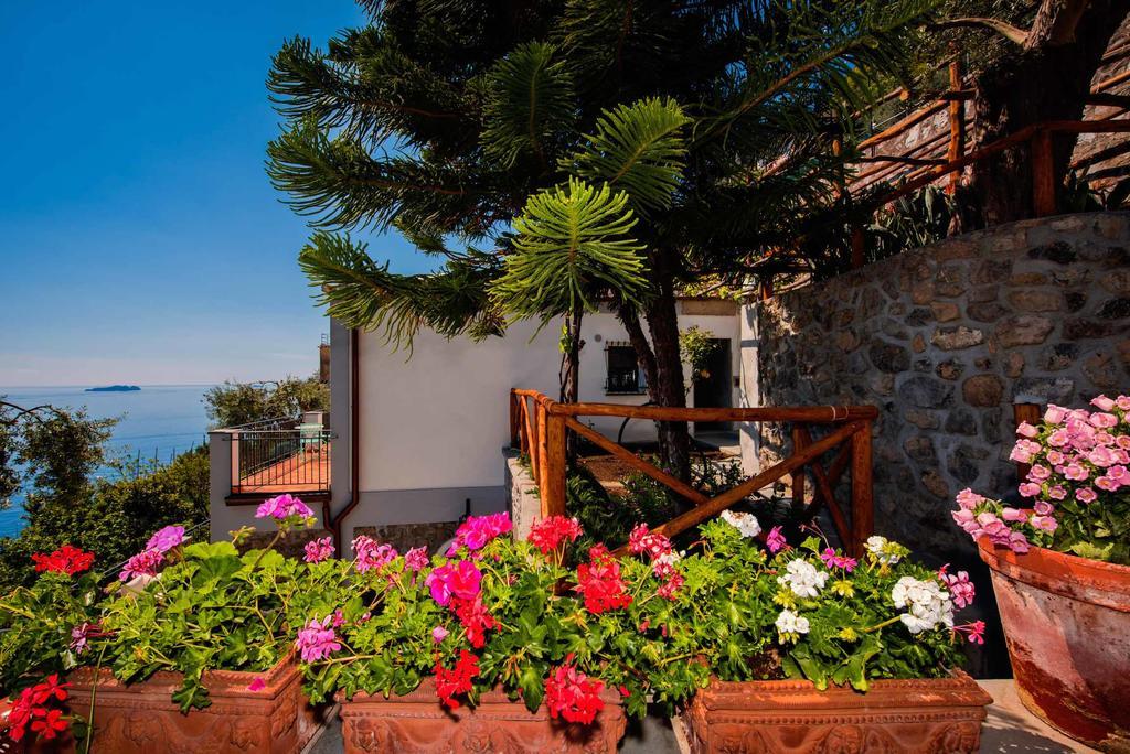 Villa De Rosa