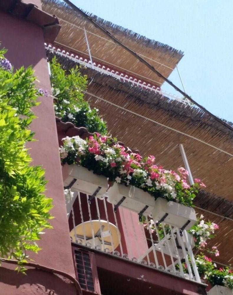 La Tartana 3* Positano