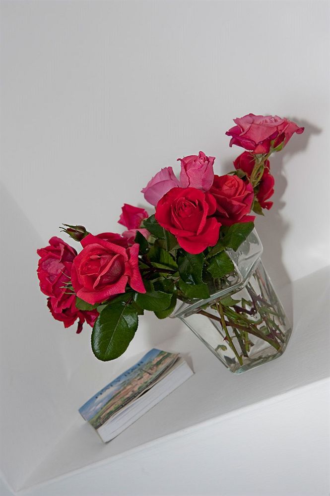Rosa