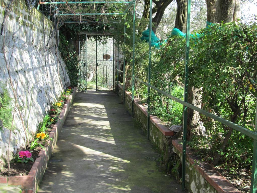 L'uliveto Bed & Breakfast