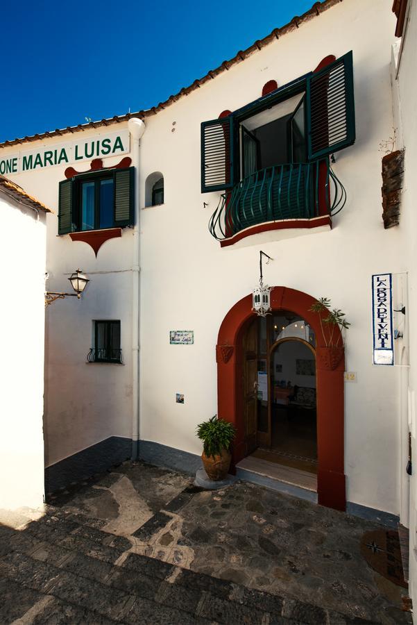 Maria Luisa