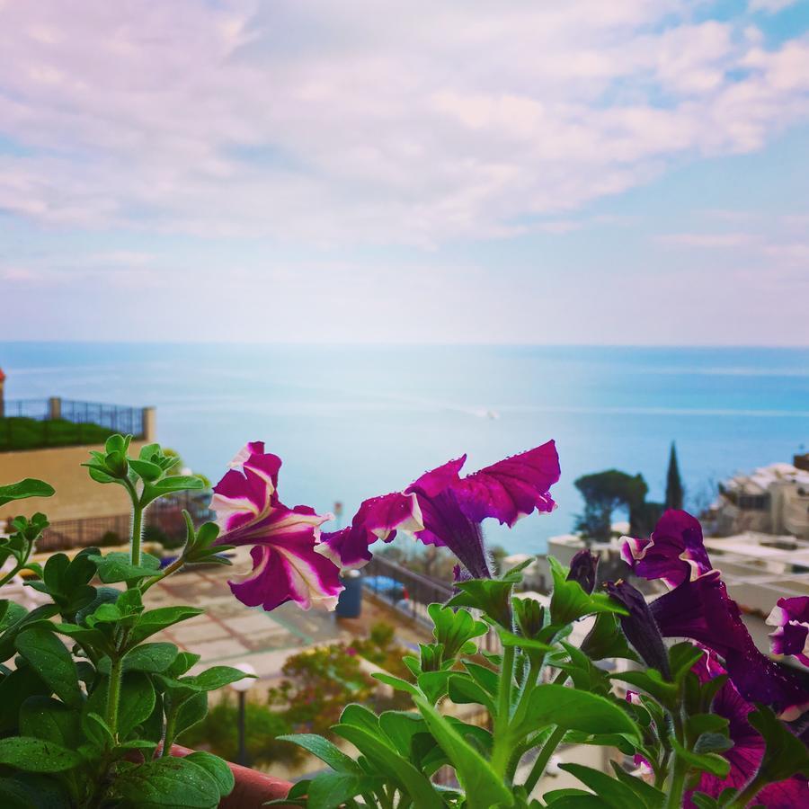 Hotel Delle Palme In Positano