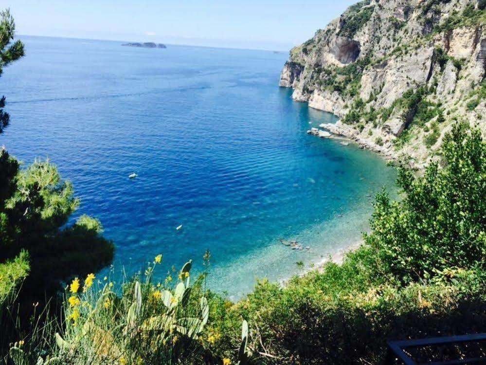 Guest house Dimora Del Podesta 3*