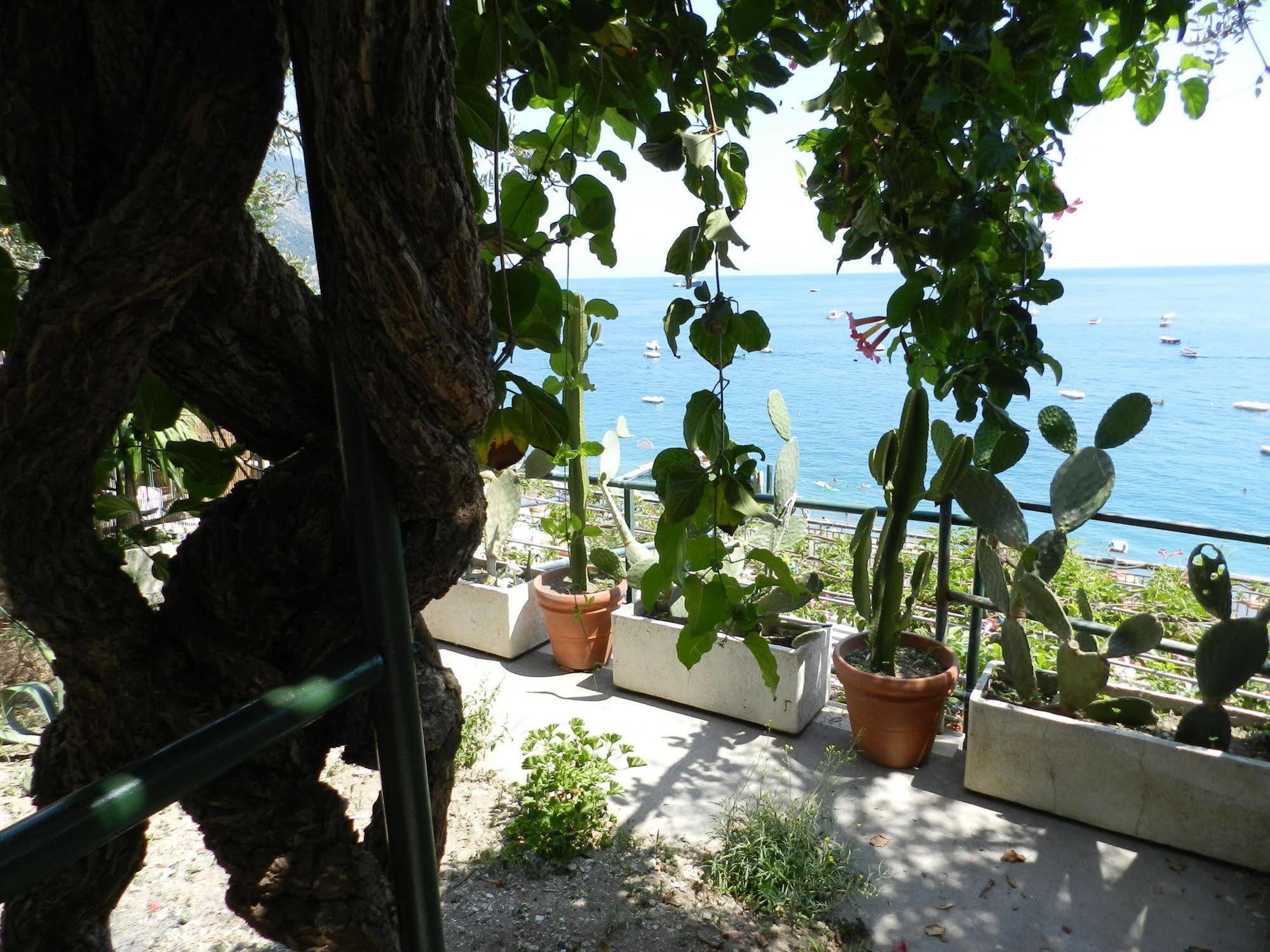 Hotel La Dolce 5*