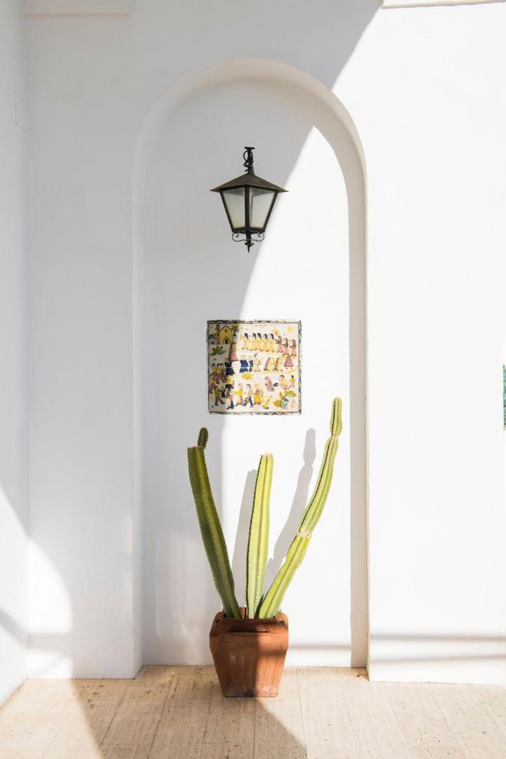 Villa Virginia Positano