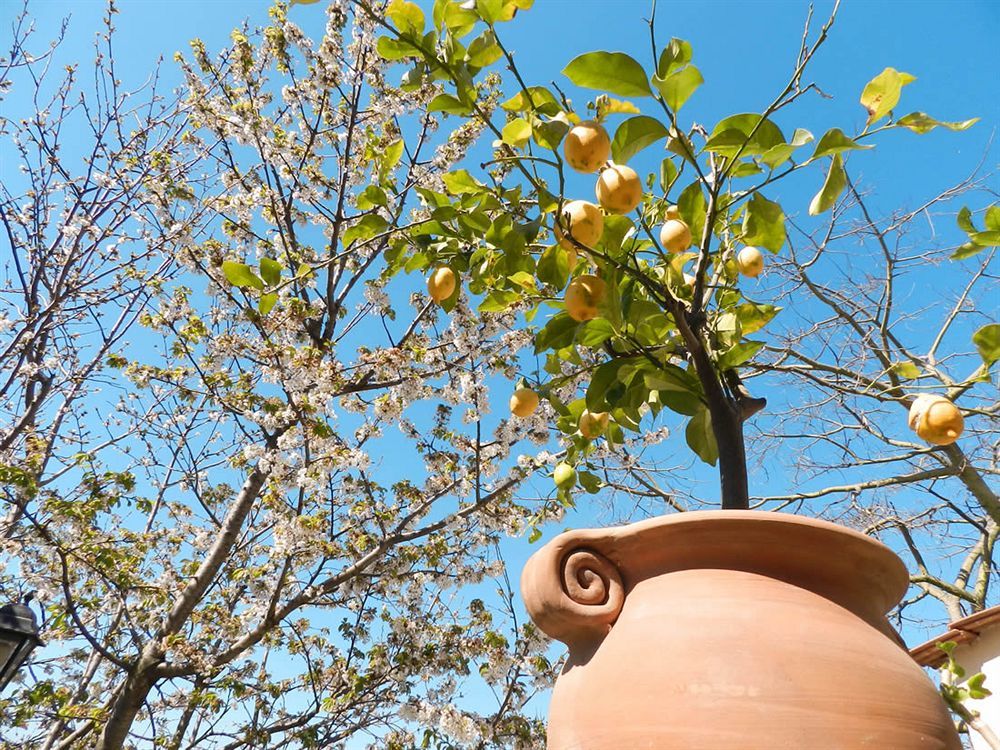 Bacio Del Sole 3* Positano