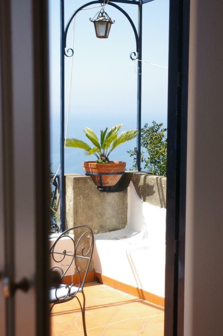 Seaview Xl Apartment *