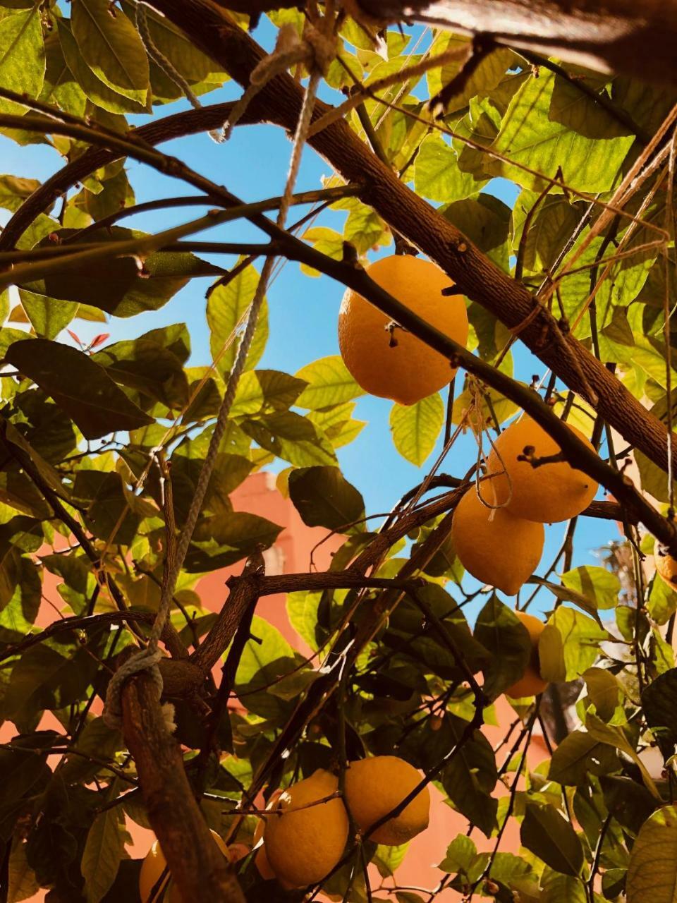A Casa Dei Sasso Positano