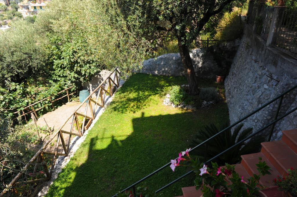 L'uliveto * Positano