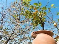 Hotel Bacio Del Sole 3*