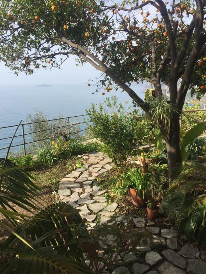 Gio - Positanohouse *
