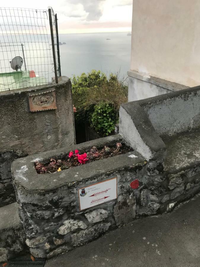 Maison Rosa *