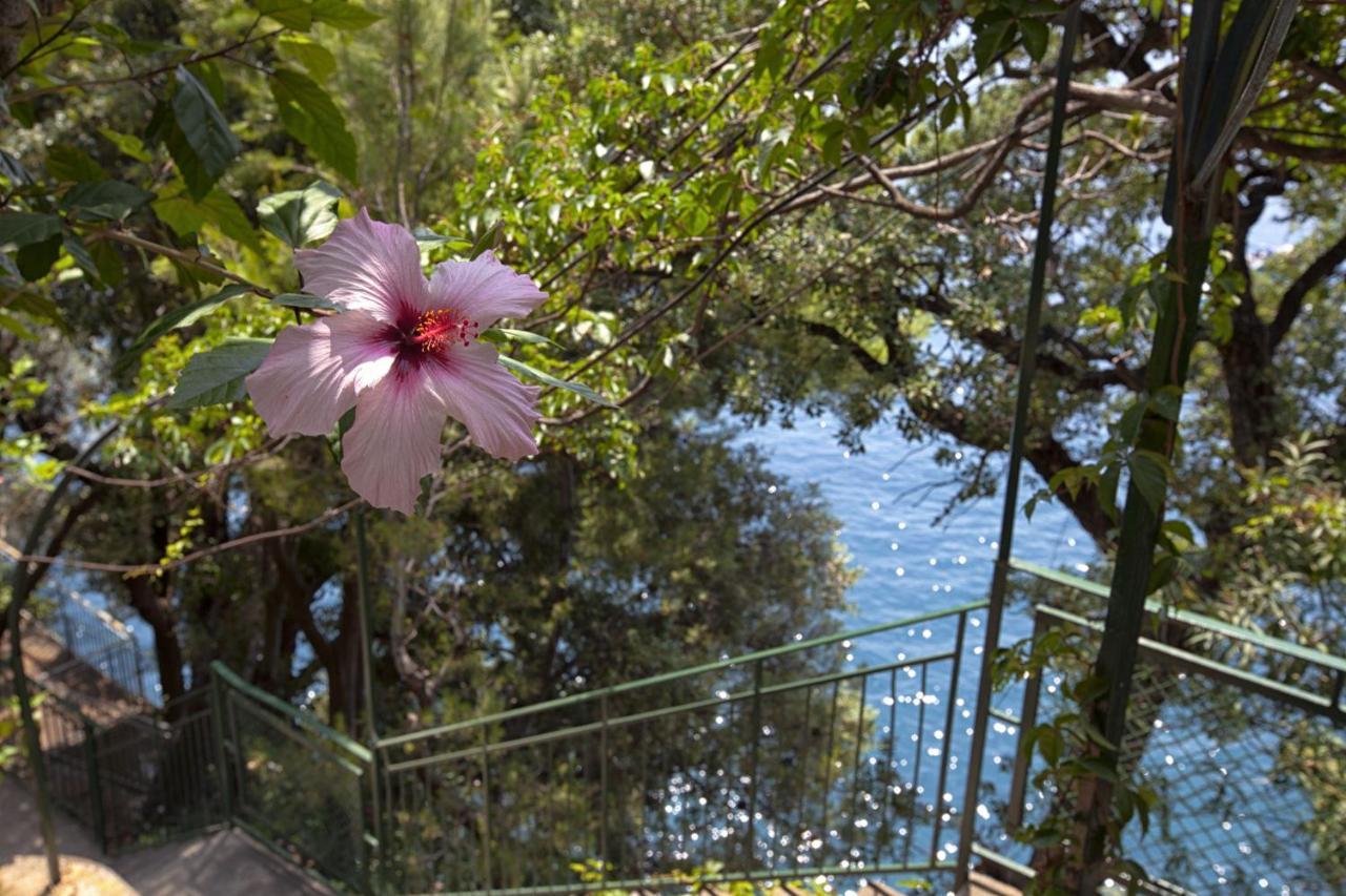 - Lo Scoglio Positano
