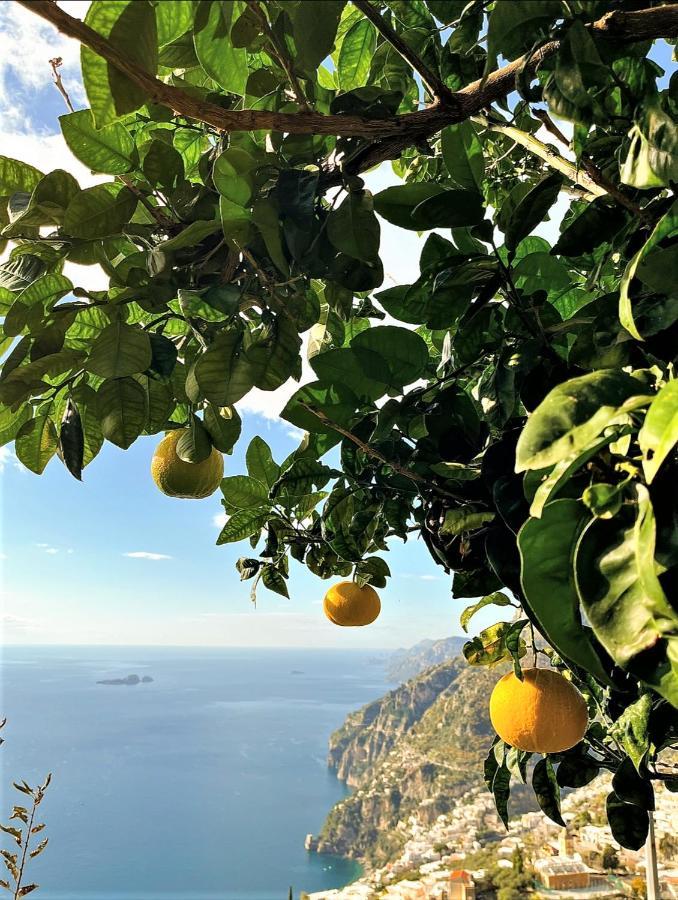 Colle Dell'ara Positano