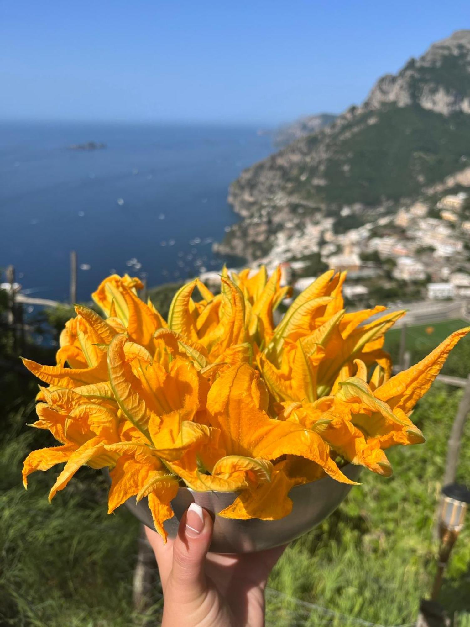 Colle Dell'ara 2* Positano