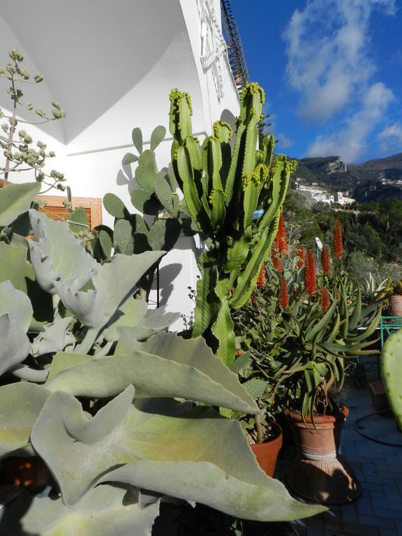 La Dolce A Boutique Guest house 2*