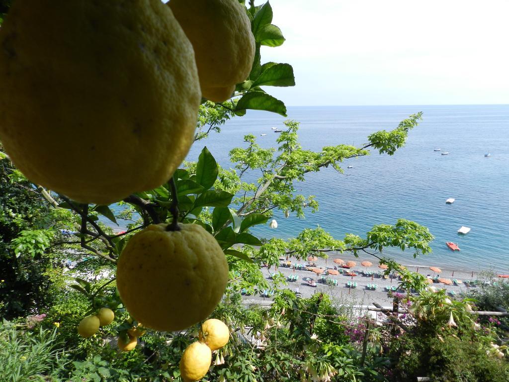 La Dolce A Boutique Guest house Positano