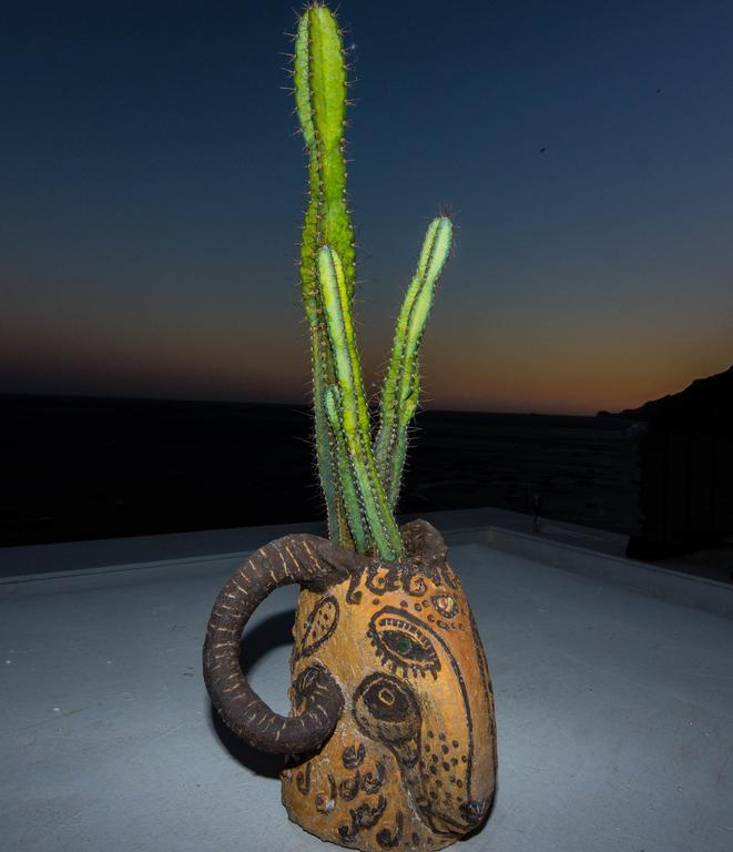 Guest house Pietra Santa 2*