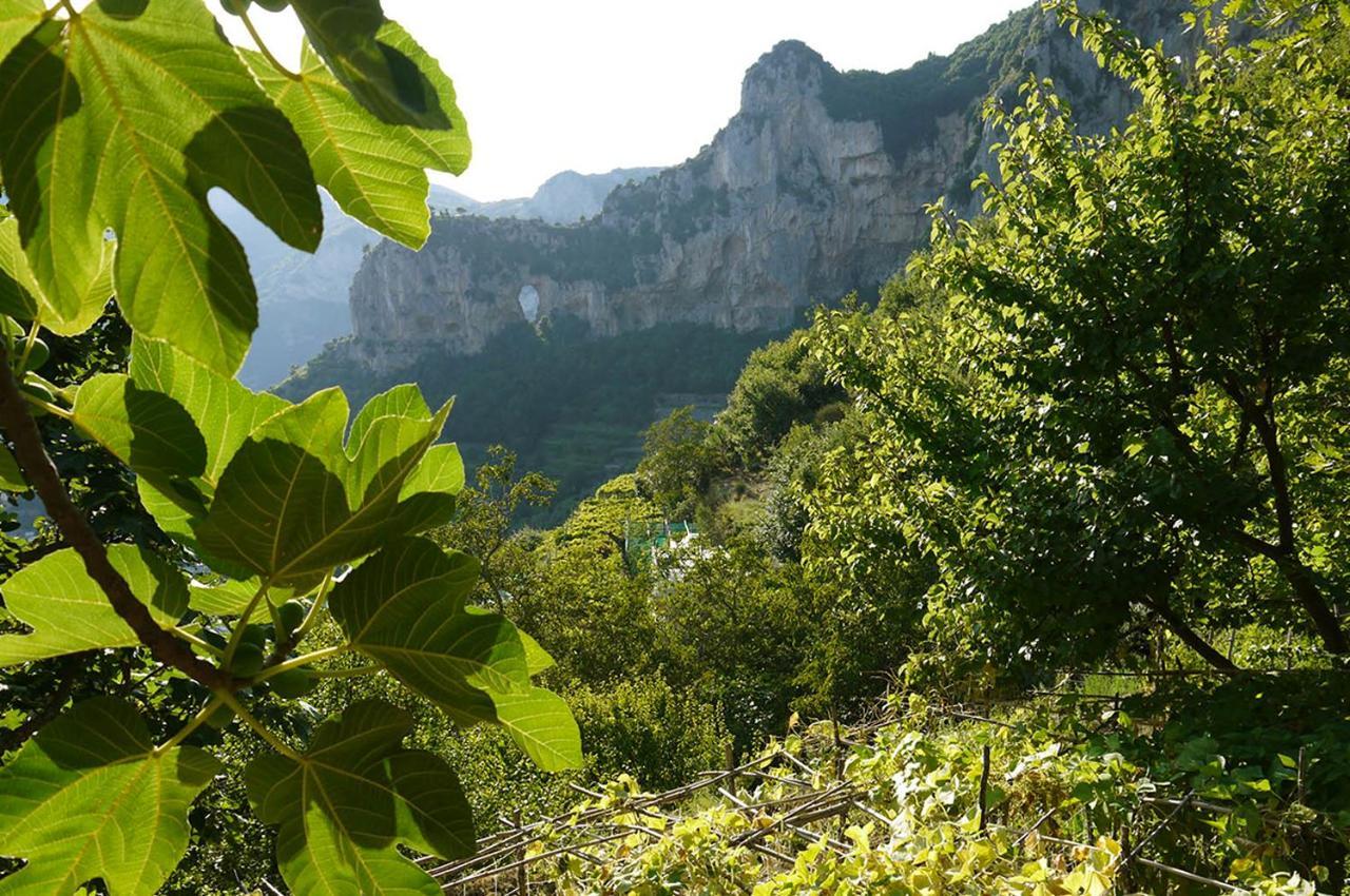 Colle Dell'ara