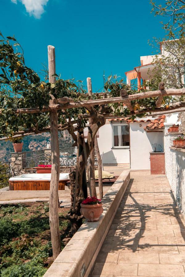 Maison Rosa *