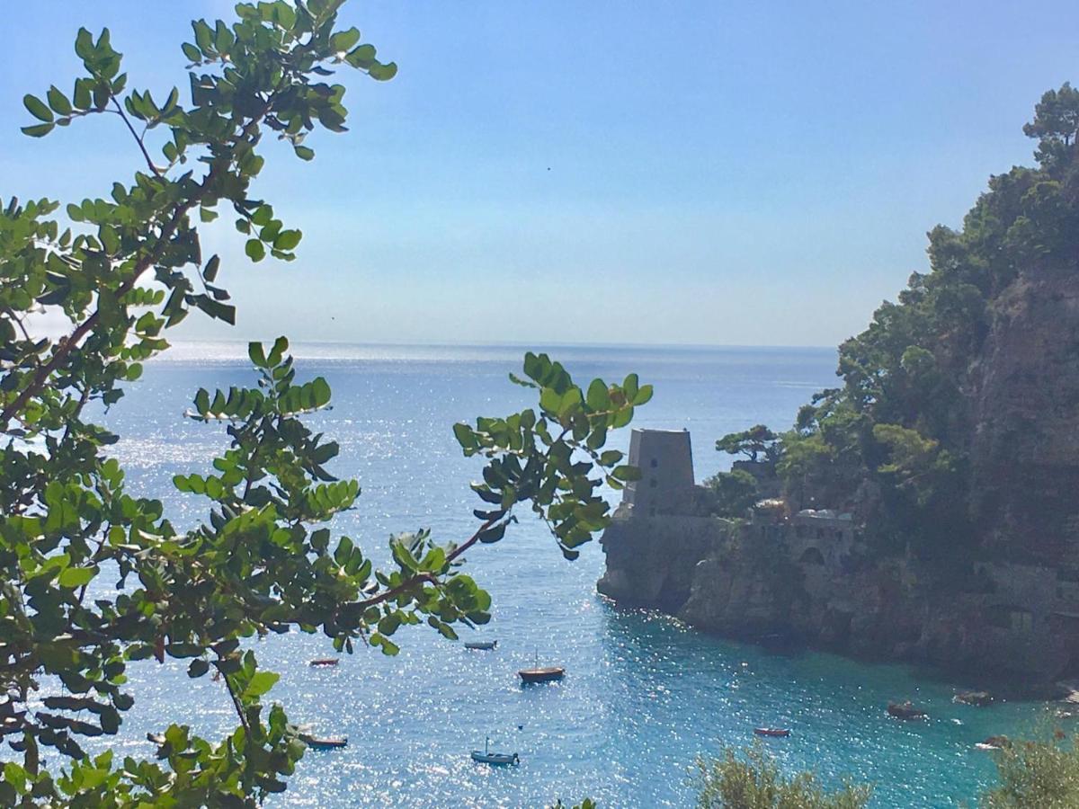 Venus Positano