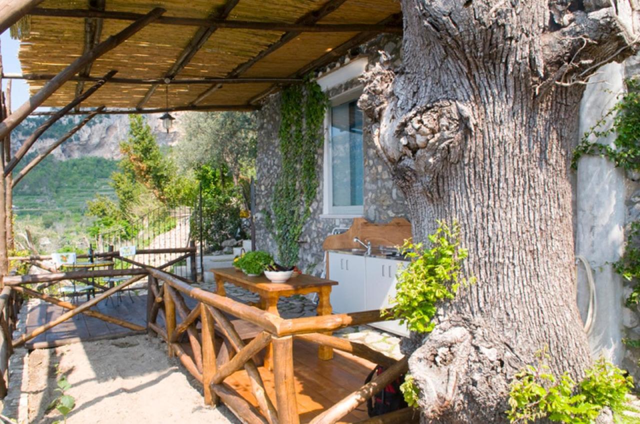 Fattoria La Tagliata Bed & Breakfast 2*